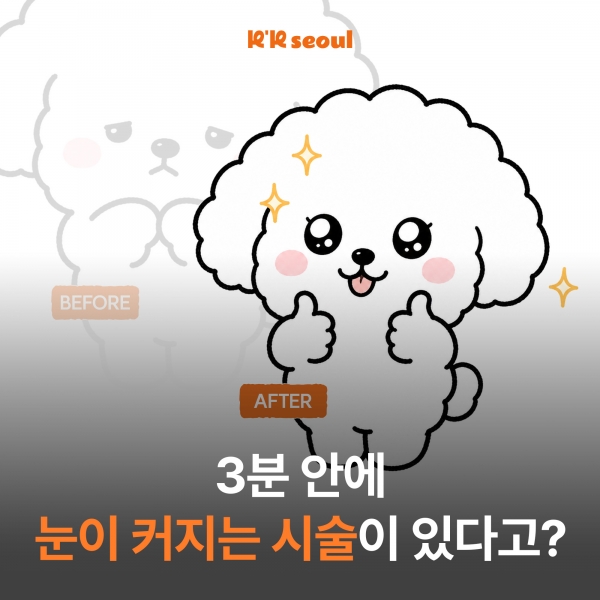 강남역·신논현역 왕눈이보톡스, 눈이 작아 보이는 진짜 이유